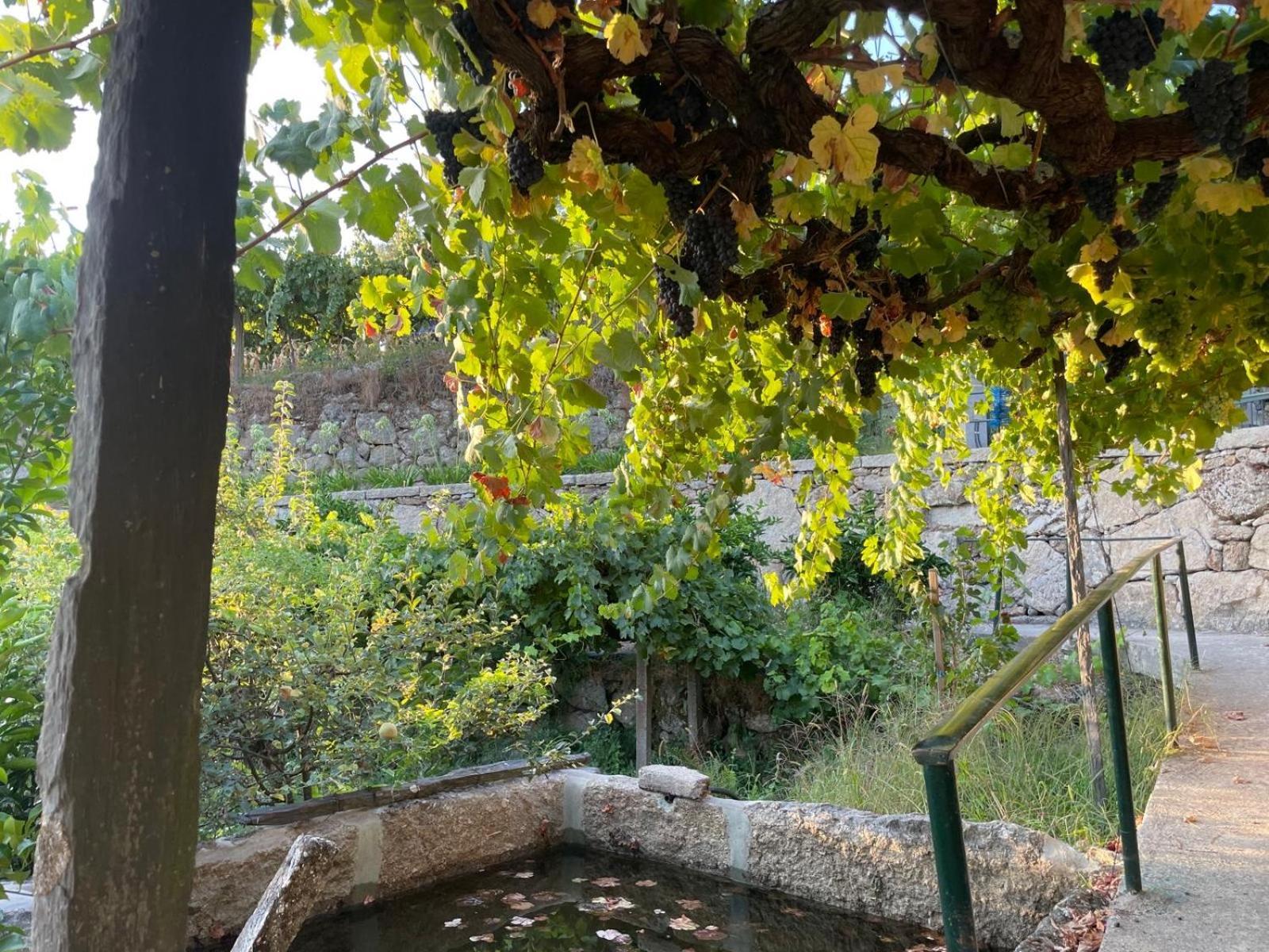 Quintinha De Pinouco Holiday home
